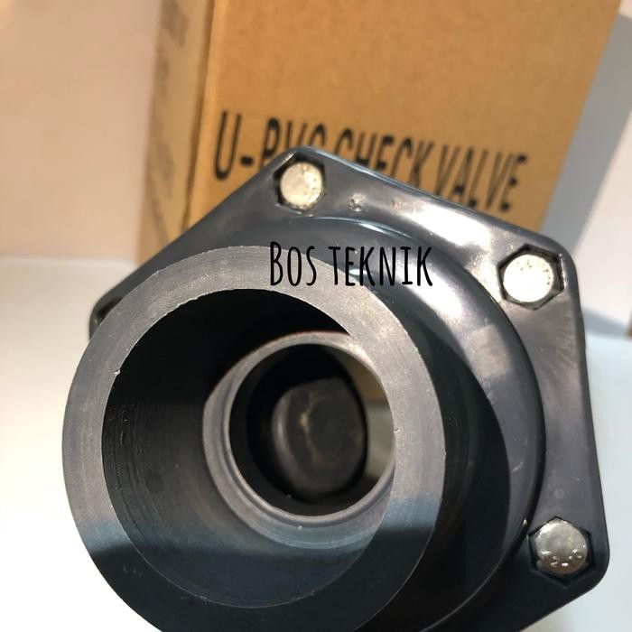 Hemat Swing Check Valve Pvc 3 Inch