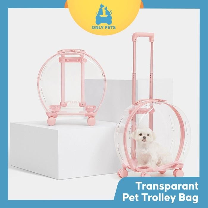 ONLY PETS Tas Koper Dorong Anjing Kucing Transparan Premium 4 roda