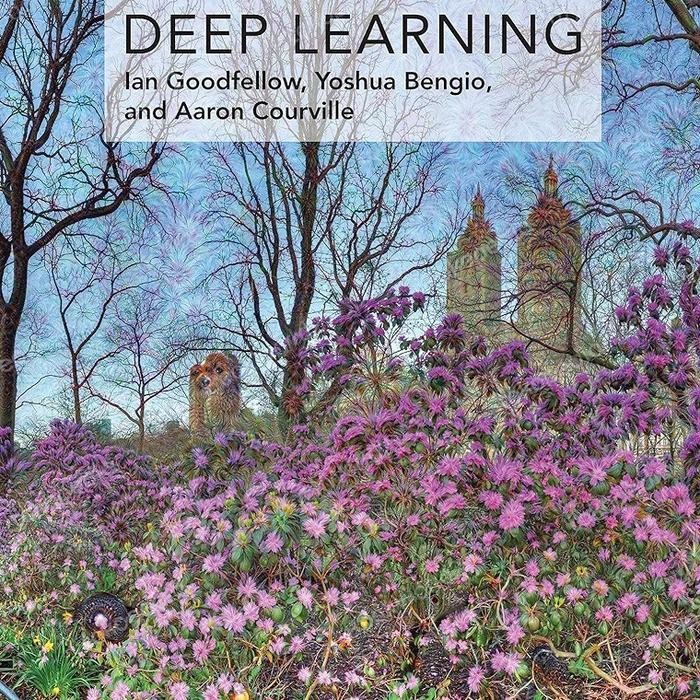 

SALE !!! BUKU DEEP LEARNING BY IAN GOODFELLOW READYY