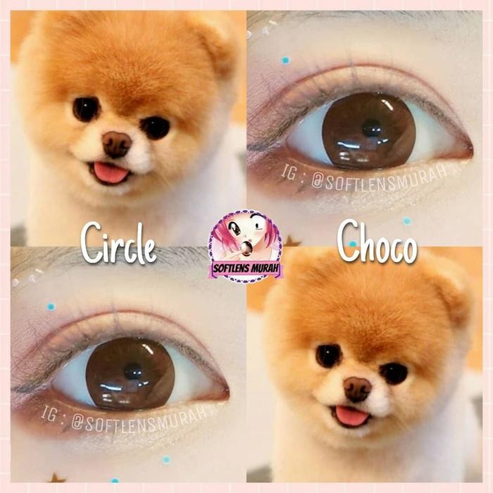CIRCLE CHOCO / BLACK SOFTLENS
