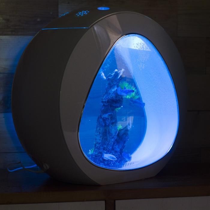 Aquarium Akuarium Unik Modern Minimalis Untuk Ikan Hias Pasti Ori