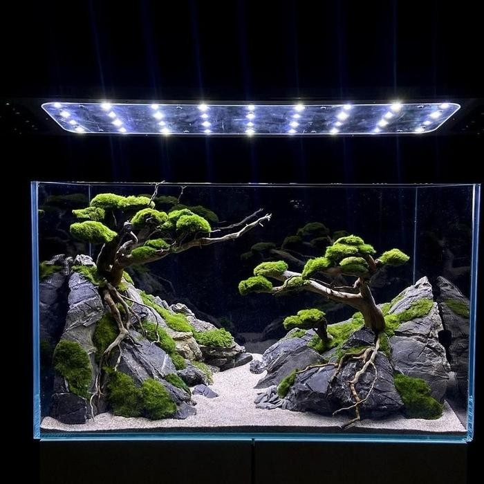 Aquascape Mini Bonsai Fullset Khusus Gojek Instan Pasti Ori