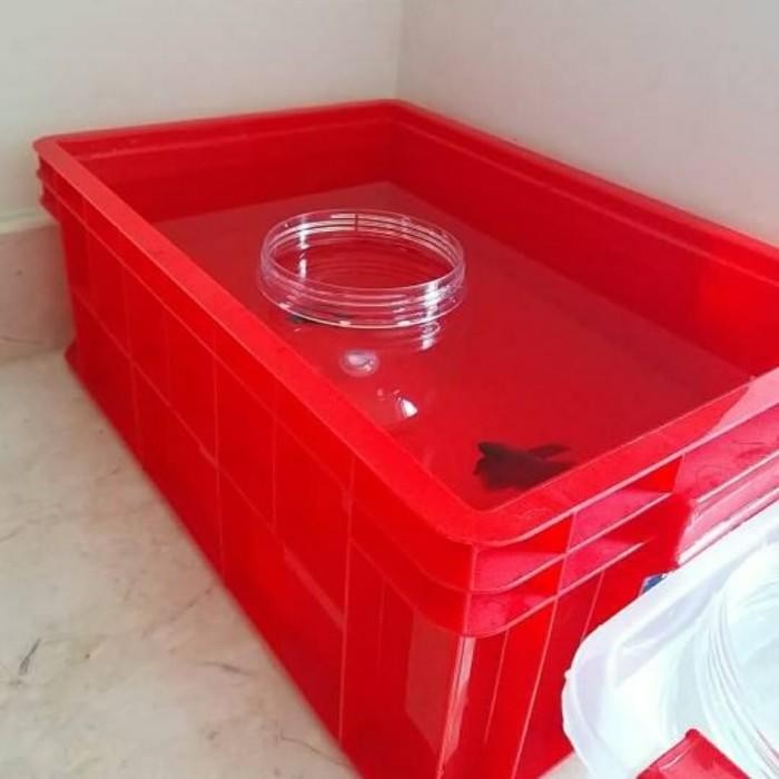 Green Leaf 2245 P Box Container Industri Bak Kolam Ikan 2245P