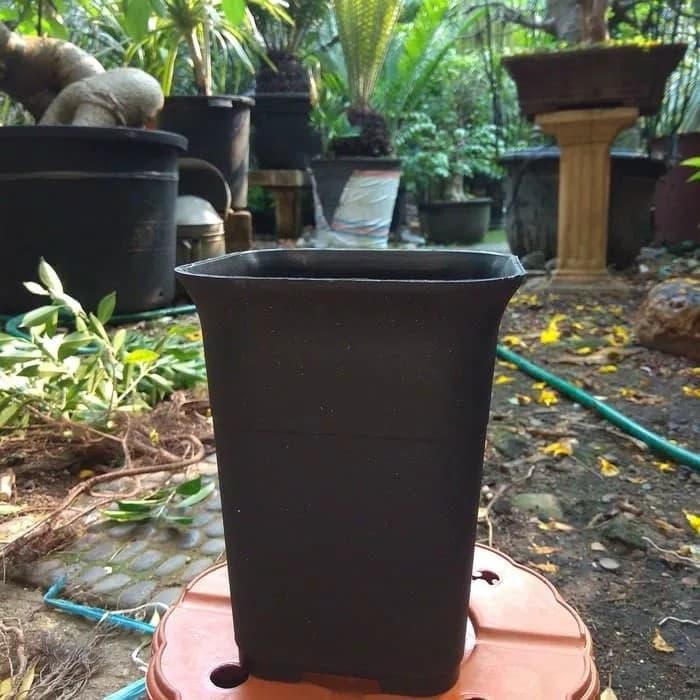 Pot Kotak Hitam Besar NKT 12cm Best Quality *