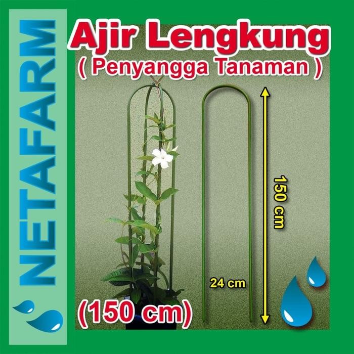 AJIR LENGKUNG - Tinggi 150 cm ( Penyangga Tanaman )