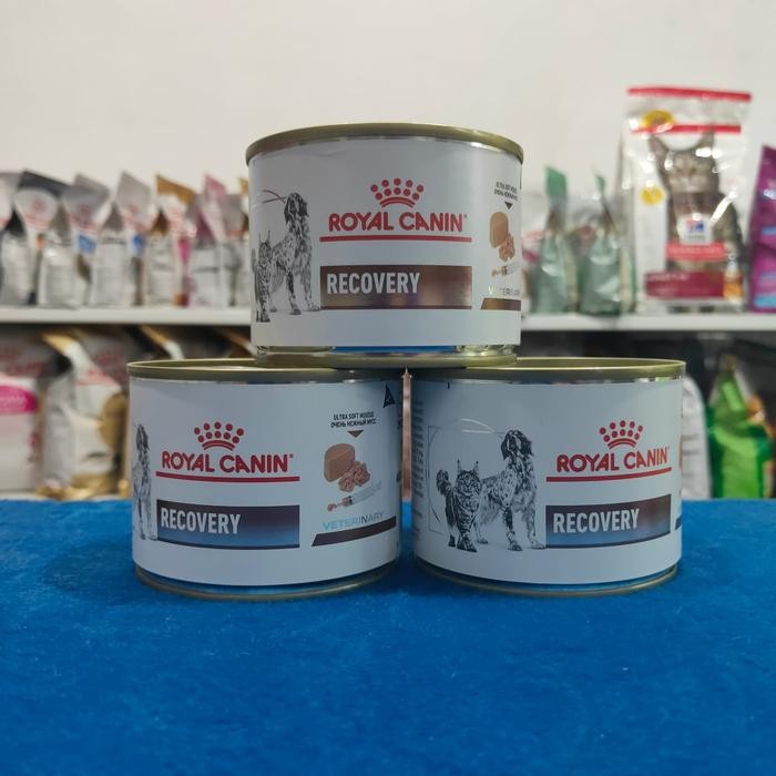 Royal Canin Recovery Untuk kucing dan Anjing