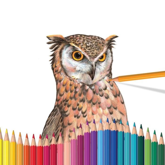 

Faber-Castell Pensil Warna Classic Colour Pencils 36 L