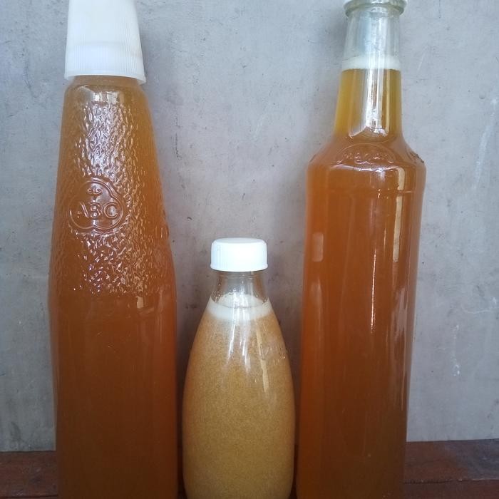 madu hutan botol kecil
