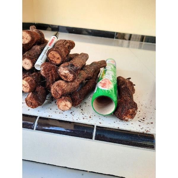 (Allthebest) Cutting Anggur SUper Besar KALUS