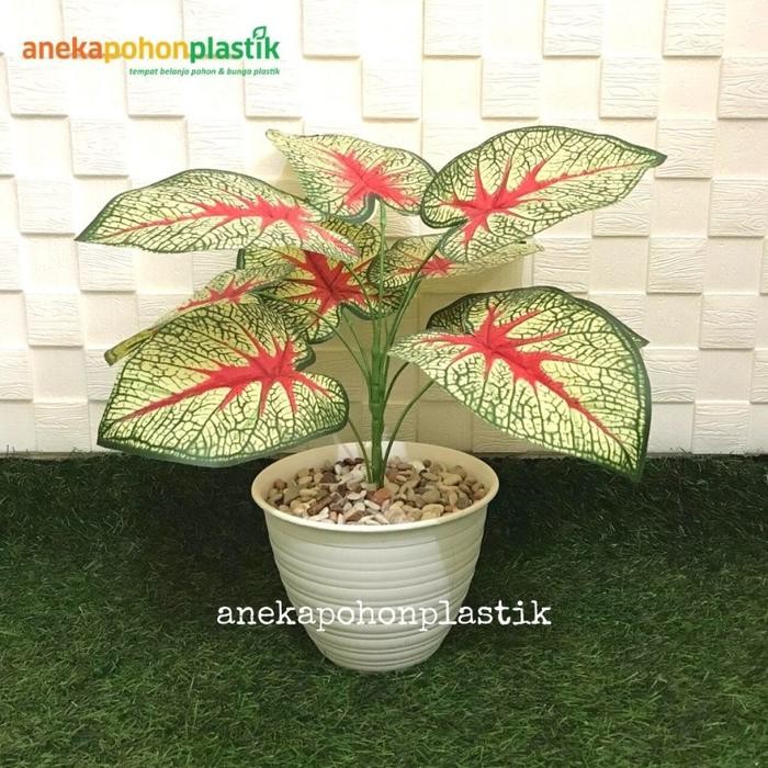 Pohon Sri Rejeki Merah Artificial Plastik Latek/Daun Sri Rejeki Murah