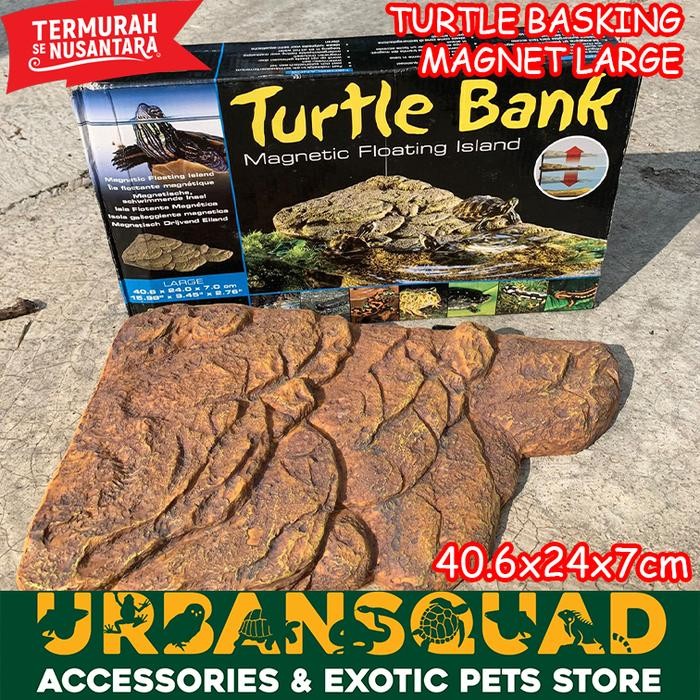 TURTLE BANK EXOTERRA BASKING SPOT KURA AIR RES ALBINO BRAZIL DAMER