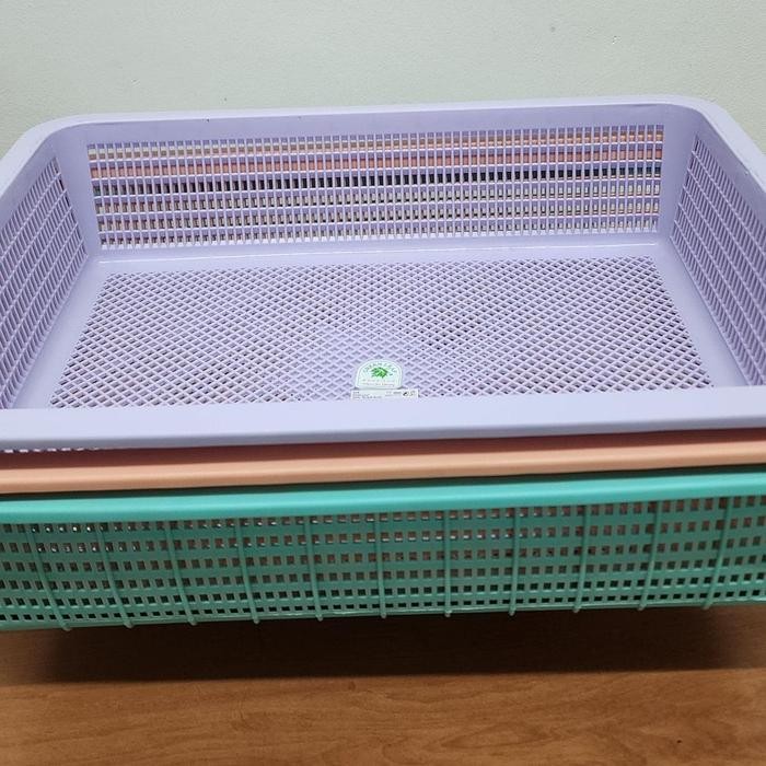 

Baru Keranjang Plastik Bolong Food Grade Green Leaf 43x32x10cm Serbaguna