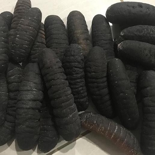 

Teripang Kering/Haisom Kering/Haisen/Gosok/Belitung Size 20-22Ekor/1Kg Terlaris