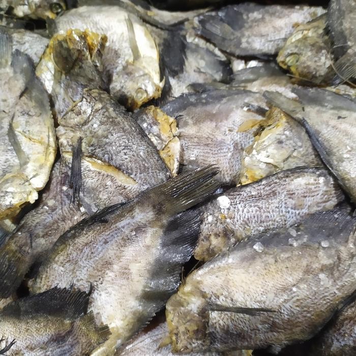 

Ikan Asin Sepat 500Gr Best Quality Asli 100% Original