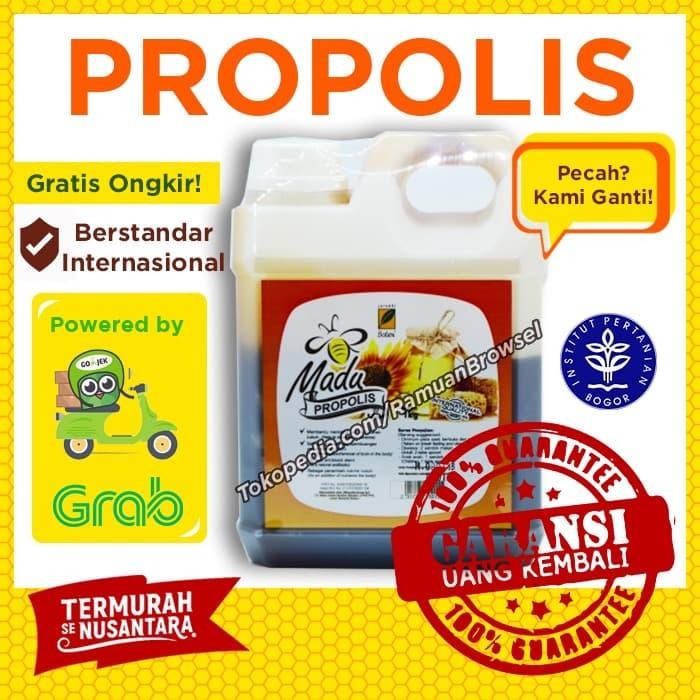 

Neww Madu Propolis 1kg Serambi Botani Original Terlaris