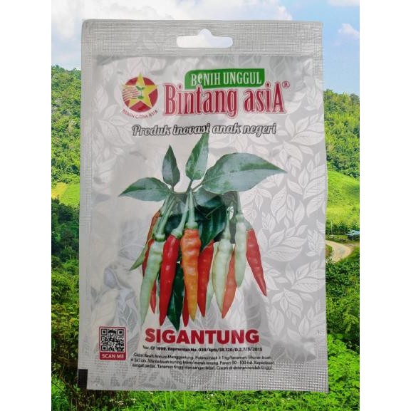 BENIH CABAI RAWIT SIGANTUNG