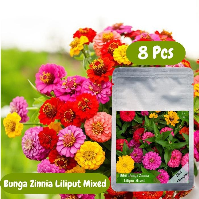 BIBIT BENIH ZINNIA LILIPUT MIXED BIBIT UNGGUL