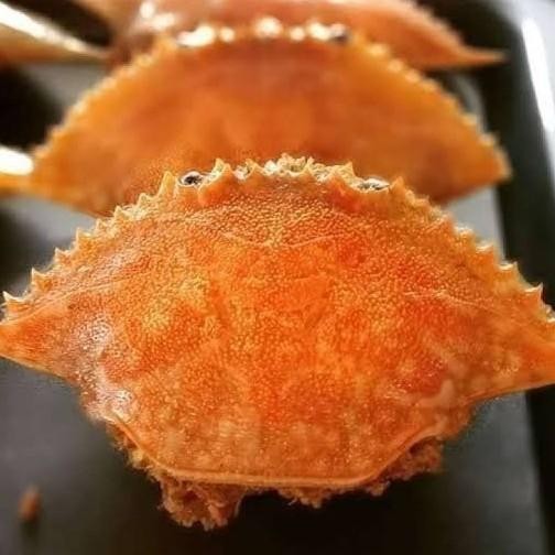 

Diskon! Promo Ketam Isi Kelayang Khas Belitung Isi 10Pcs Seafood Olahan Premium