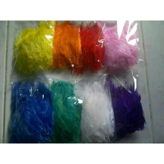 bulu ayam warna warni