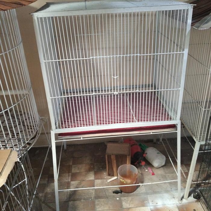 kandang Ayam pelung Ayam ketawa Burung dan lain lain