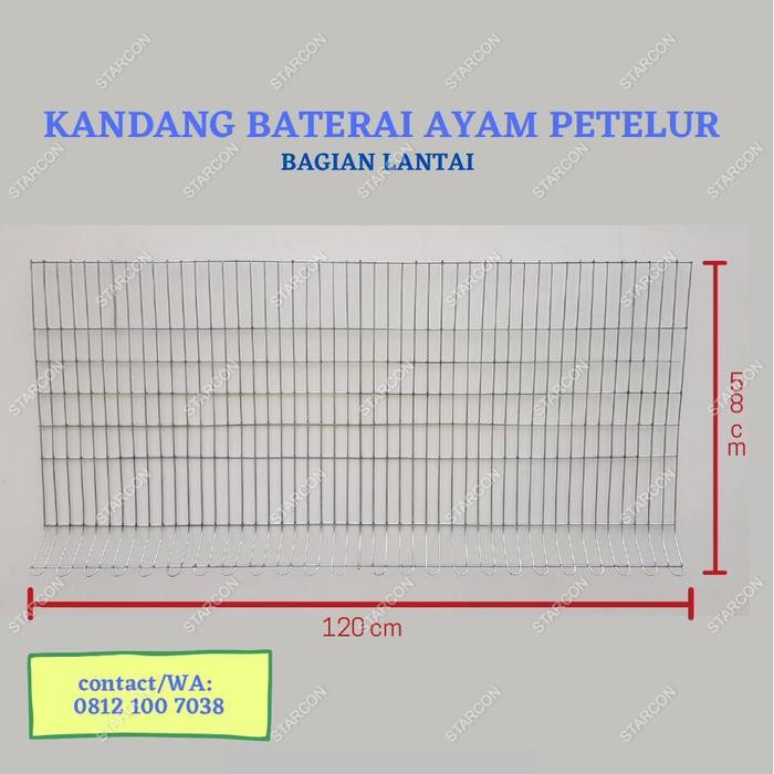 Kandang Baterai Ayam Petelur