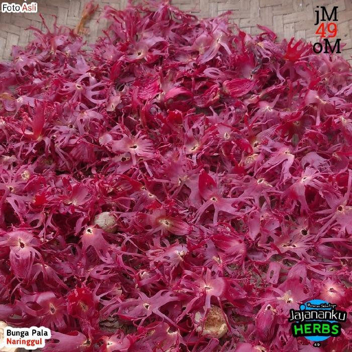 

500gr Bunga Pala Sempra Puli Mace Whole Kembang Pala Organik