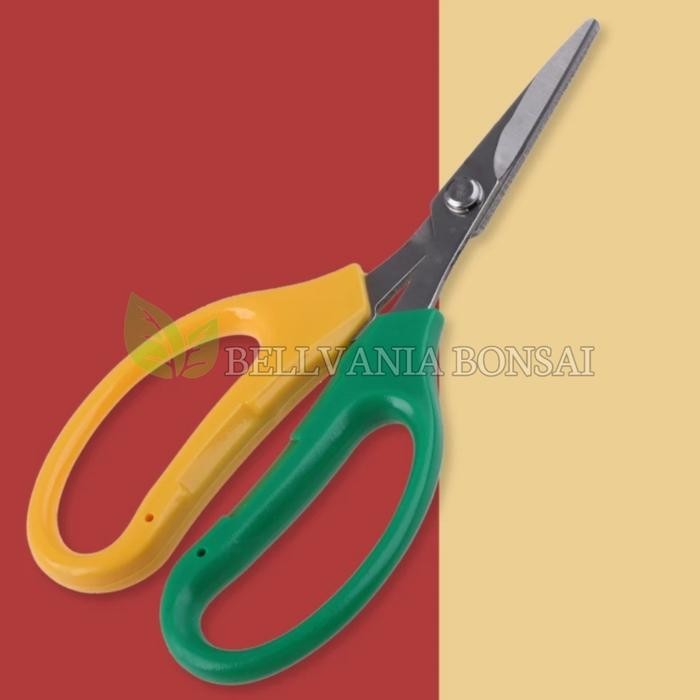 

ID GUNTING PRUNNING DAUN LANCIP MELENGKUNG PANJANG 16 CM