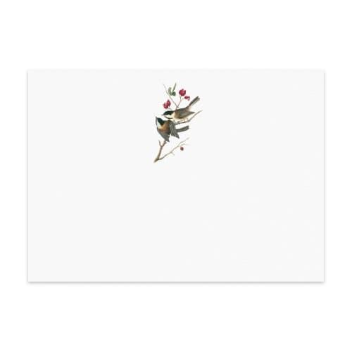 

BRG BARU Note Card Audubon Set of 6