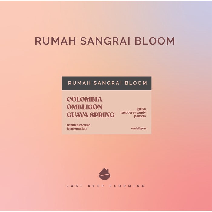 

COLOMBIA OMBLIGON GUAVA SPRING biji kopi filter arabica OMBLIGON RUMAH SANGRAI BLOOM