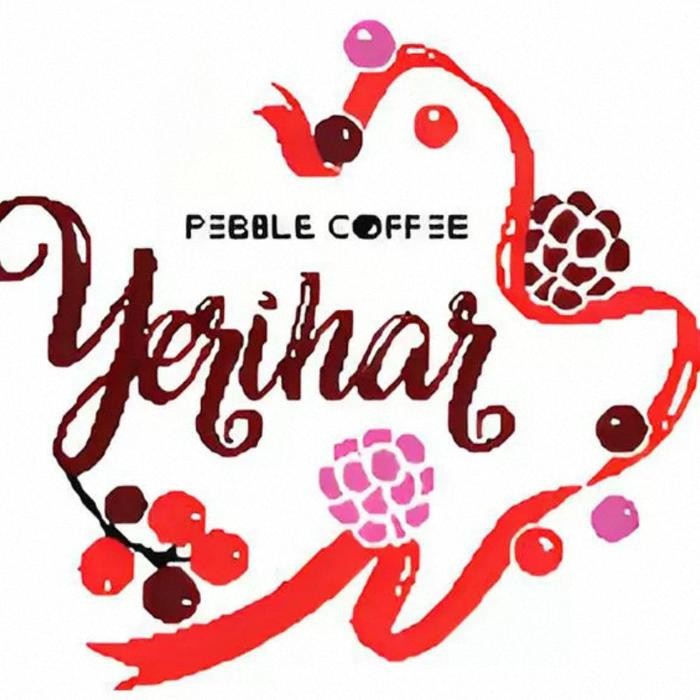 

KENYA YERIHAR AA TOP SL34 SL28 25 GREEN BEANS