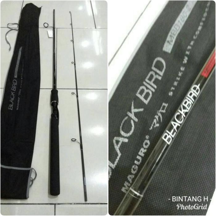 Joran Maguro Black Bird 180