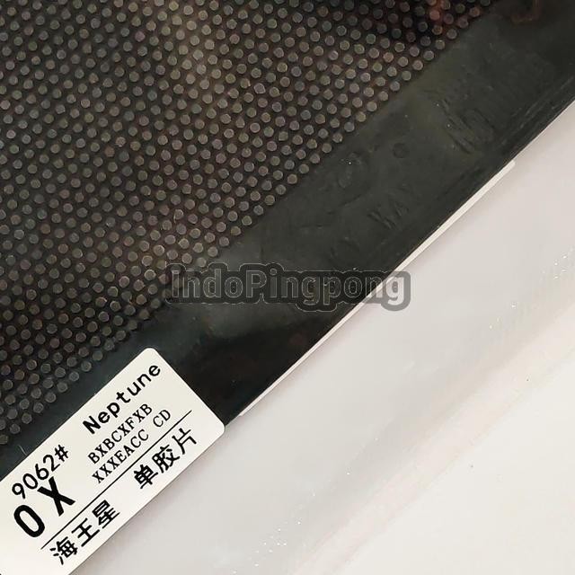 Yinhe Neptune OX - Long Pips Bintik Bertahan Panjang