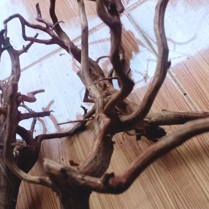 Siap Kirim Akar Rasamala - Hiasan Aquarium Aquascape