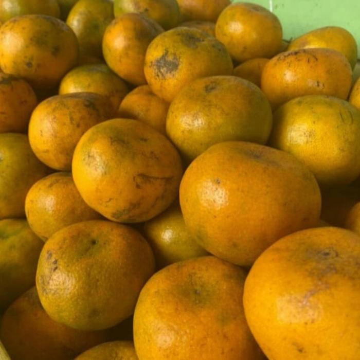 

NATURE- Jeruk Pontianak Manis Segar 1Kg