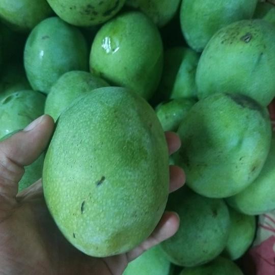 

NATURE- Buah Mangga Manalagi Super Manis 1 Kg