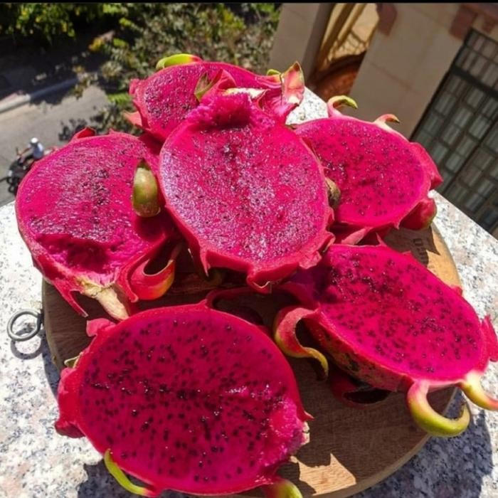 

NATURE- Buah Segar Naga Merah Per 1Kg