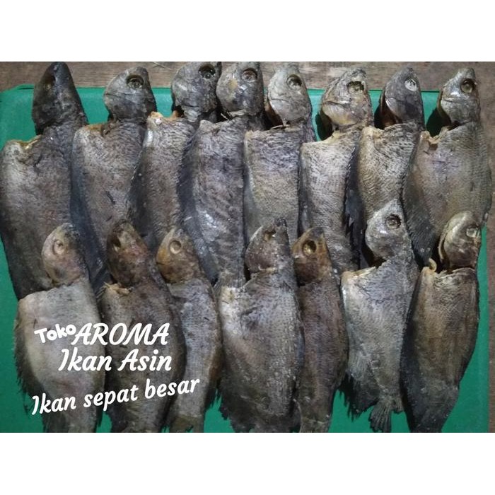 

Siap Kirim Ikan Asin Sepat 250g - Shopee Ikan Laut Asin Kering