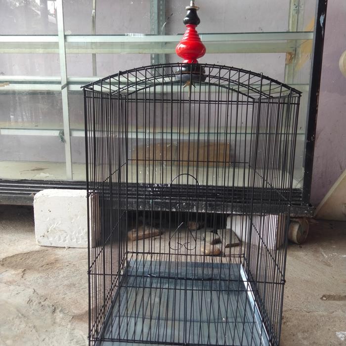 Kandang kotak besi