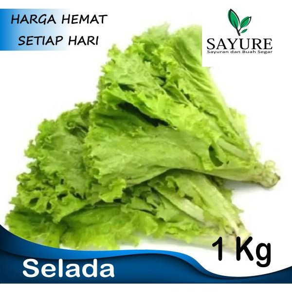 

LUXEHEALTH- Selada Keriting Segar 1 Kg