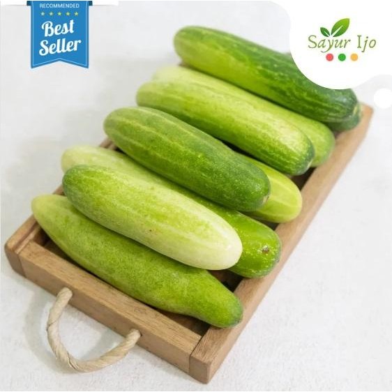 

LUXEHEALTH- Timun Lokal Besar 1 Kg Fresh Ketimun Lalapan Mentimun Sayur Segar