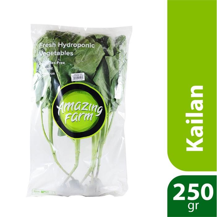 

LUXEHEALTH- Kailan Sayur Hidroponik 250 Gram Amazing Farm