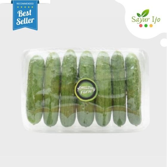 

LUXEHEALTH- Mini Cucumber Amazing Farm 250 Gram/Pack Fresh Timun Lalap Sayur Segar