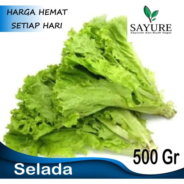 

LUXEHEALTH- Selada Keriting Segar 500 Gr