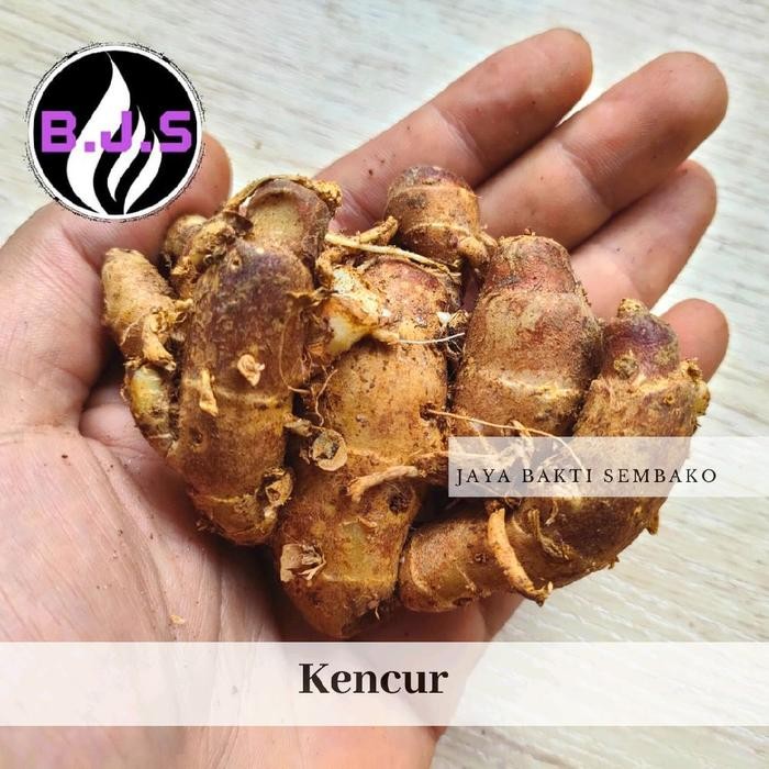 

LUXEHEALTH- Kencur Segar Super 1Kg Fresh Herbal Rempah