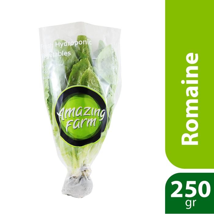 

LUXEHEALTH- Romaine Lettuce Hidroponik 250 Gram Amazing Farm