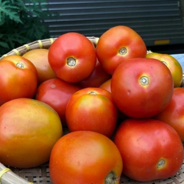 

LUXEHEALTH- Tomat Merah 1 Kg