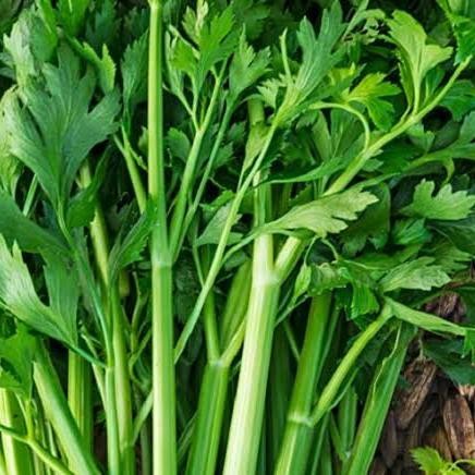 

LUXEHEALTH- Daun Seledri Fresh