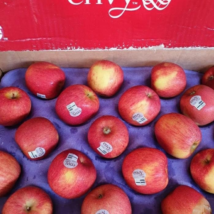 

BUAH APEL ENVY KECIL 1 KG