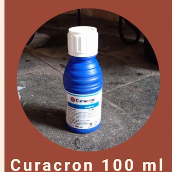 curacron 100 ml