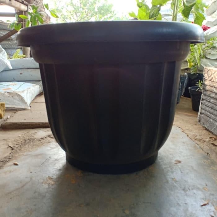 pot tanaman ukuran 50